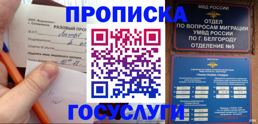 временная регистрация адрес в Алексеевке